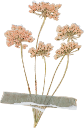 Vintage Feminine Romantic Taped Flowers Cutout